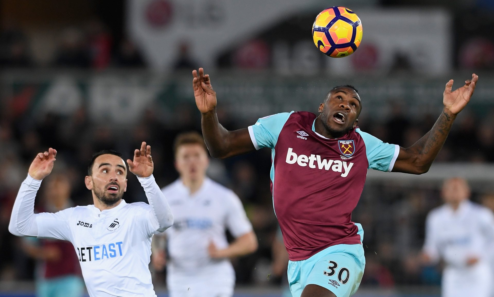 可能是一种 可能是一种